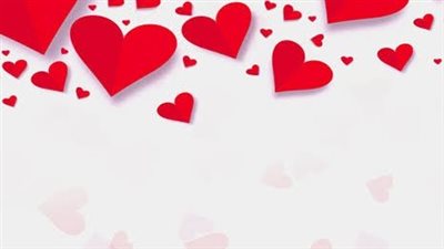 رواية كلام في الحب الفصل الرابع عشر حصريه وجديده 