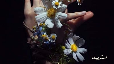 رواية عهود الحب والورد الفصل الثاني بقلم ساره نيل  