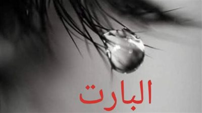 رواية نور الفصل الاول والتاني والتالت والرابع والخامس بقلم شهد احمد حصريه وجديده 