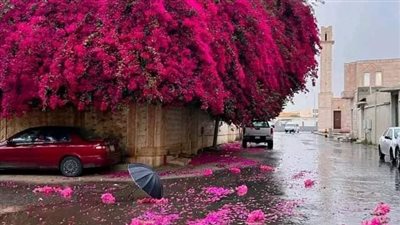 رواية أحبني إبن الأكابر البارت الاول بقلم شيماء صبحي حصريه وجديده 