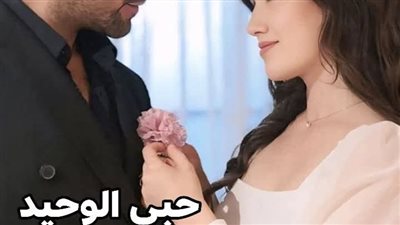رواية حبي الوحيد الفصل الثاني حصريه وجديده 
